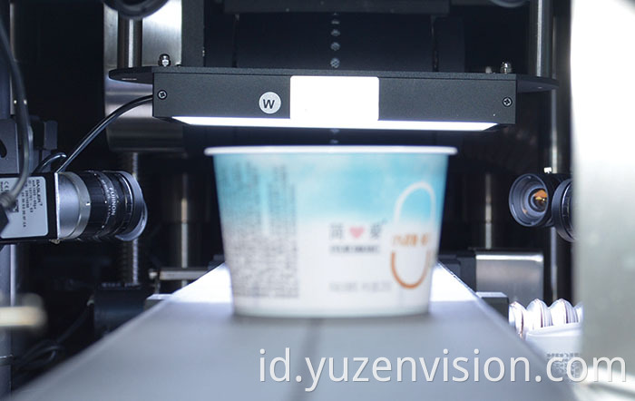 Visual System in Germany